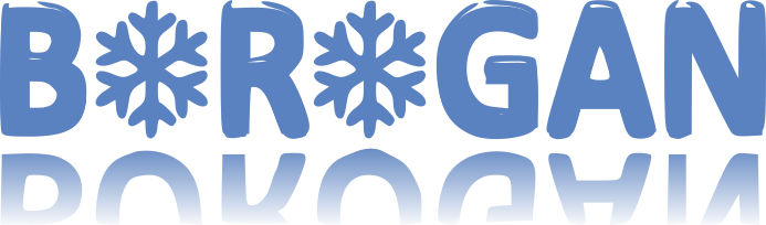 logo BOROGAN project